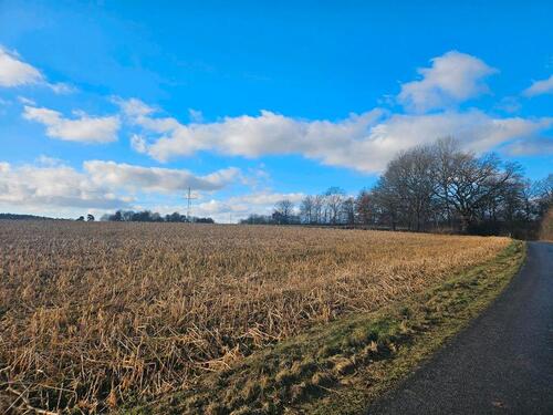 Foto - Ortsrandlage: Wohnung im Grünen