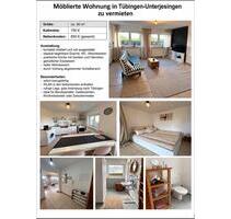 Möblierte Wohnung in Tübingen-Unterjesingen zu vermieten