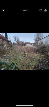 Foto - Koppel Wiese Weide Acker - 45,00 EUR Kaltmiete, ca.  0,00 m²