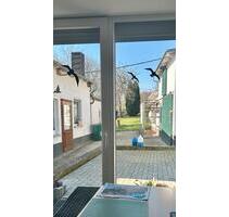 Einfamilienhaus mit Grundstück und Nebengebäuden - Hohenleuben