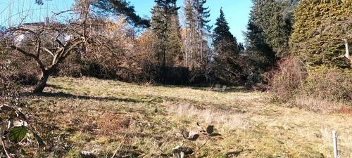 Foto - Grundst&uuml;ck zur Miete in Oberursel (Taunus)