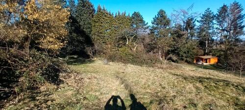 Foto - Grundst&uuml;ck in Oberursel (Taunus) zur Miete