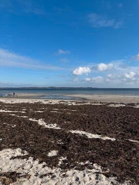 Foto - Befristete möblierte Zwischenmiete