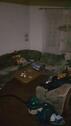 Foto - Einfamilienhaus zum Kaufen in Farnstädt