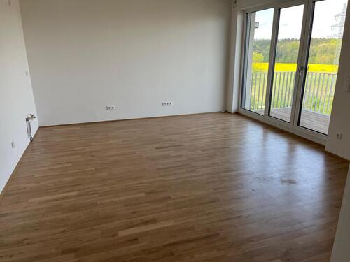 Foto - 2 Zimmer Wohnung - 980,00 EUR Kaltmiete,