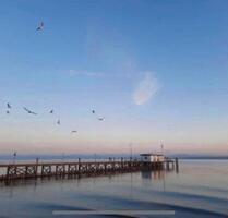 Bodensee-Wohnung zur Zwischenmiete - Meersburg