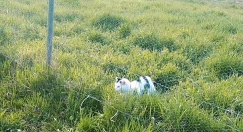 Foto - WG Zimmer in großem Fachwerkhaus
