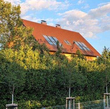 Foto - Großzügiges 13 Zimmer Haus in Zeuthen