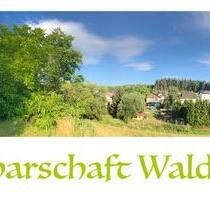 Ein Landhüter-Nest für eine neue Gemeinschaft ! - Waldsolms