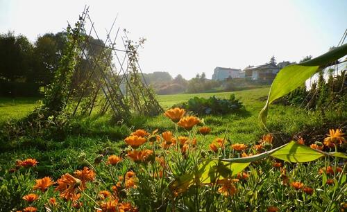Foto - Einfamilienhaus in Waldsolms