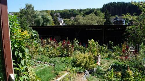Foto - Einfamilienhaus in Waldsolms zur Miete