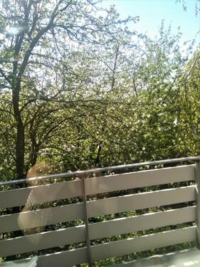 Foto - Etagenwohnung in Salzkotten