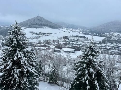 Foto - 1 Zimmer Etagenwohnung in Baiersbronn
