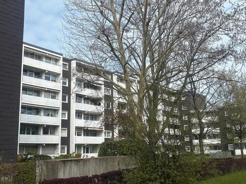Foto - 3 Zimmer Etagenwohnung zum Kaufen in Köln