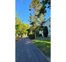 Moderne 3-Zimmer Wohnung am Rabenberg - Wolfsburg