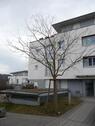 Foto - 4 Zimmer Erdgeschoßwohnung zur Miete in Esslingen am Neckar