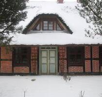 Ferienhaus nahe Stralsund für 2 Pers.+ Hunde, Jan. - Dez. - Wittenhagen