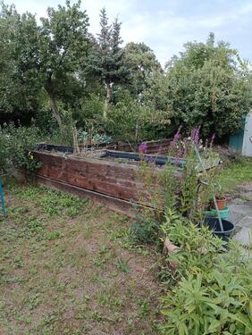 Foto - Grundst&uuml;ck in Mühlhausen (Thüringen) zur Miete