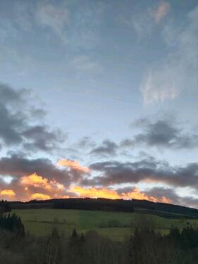 Foto - Etagenwohnung zur Miete in Olsberg