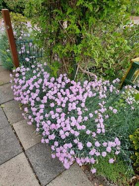Foto - Grundstück in Mönchengladbach