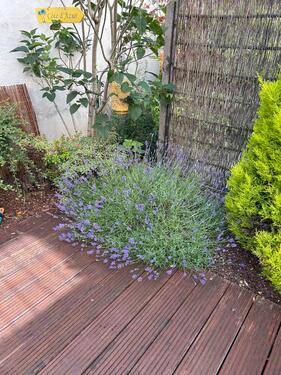 Foto - 4 Zimmer Etagenwohnung in Bingen am Rhein