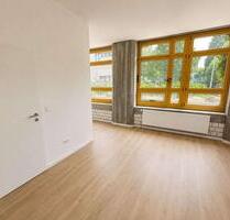 Möbliertes 1-Zimmer-Apartment in guter Lage - Mannheim Almenhof