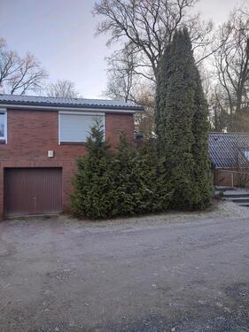 Foto - 2,5 Zimmer Wohnung in ländlicher Lage