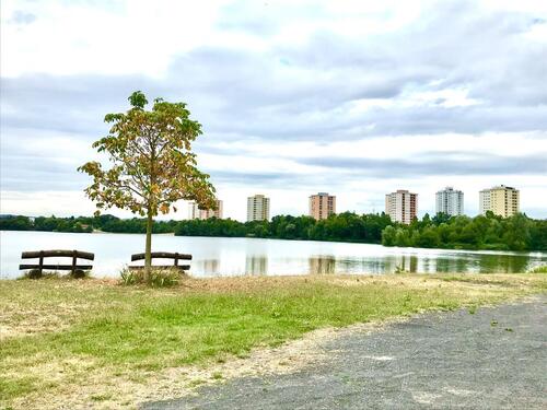 Foto - 3.5 Zimmer Etagenwohnung in Mainaschaff