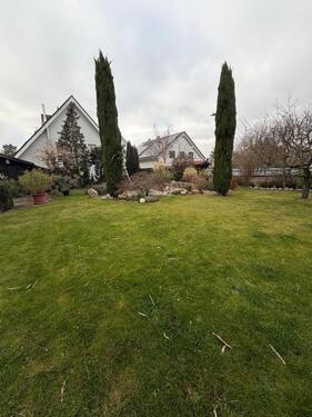 Foto - Erdgeschoßwohnung in Griesheim zur Miete