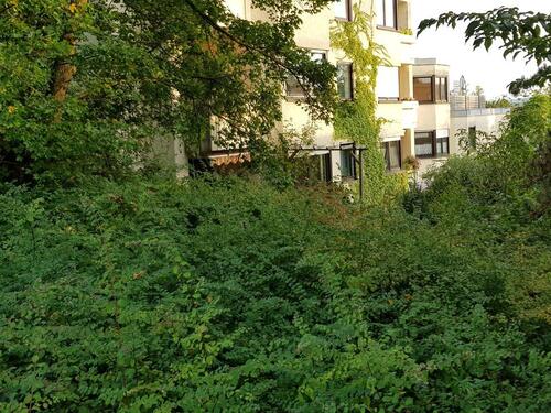 Foto - Erdgeschoßwohnung in Regensburg zur Miete