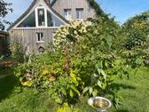 Foto - Einfamilienhaus in Grasberg Wörpedorf