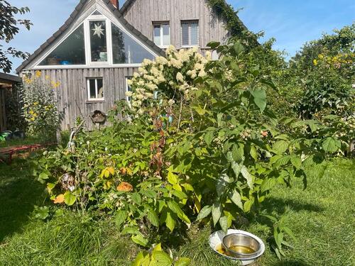Foto - Einfamilienhaus in Grasberg Wörpedorf