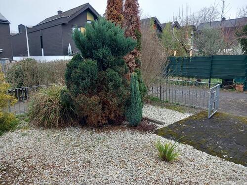 Foto - 3 Zimmer Einfamilienhaus zum Kaufen in Bonn