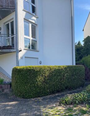 Foto - 2 Zimmer Erdgeschoßwohnung zur Miete in Trier