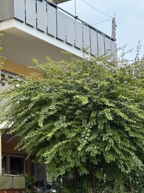 Foto - Wohnung, ohne Provision - 330.000,00 EUR Kaufpreis,