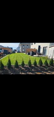 Foto - 3.5 Zimmer Doppelhaushälfte zur Miete in Schwerin