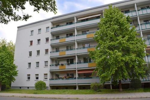 Foto - 4 Zimmer Etagenwohnung zur Miete in Cottbus