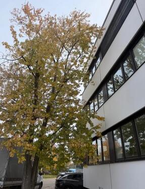 Foto - Attraktive Produktionsfläche mit Büros, Bädern und Parkplätzen