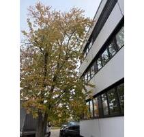 Attraktive Produktionsfläche mit Büros, Bädern und Parkplätzen - Filderstadt