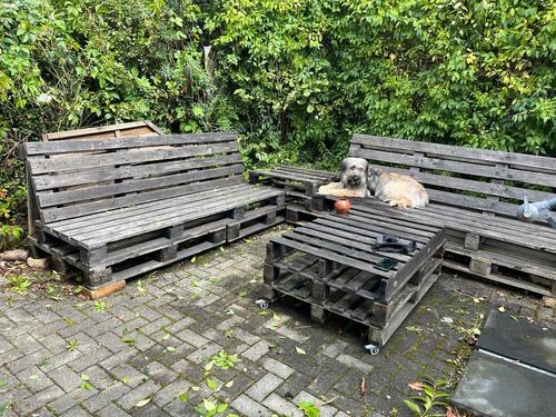 Foto - Grundst&uuml;ck in Zittau