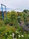 Foto - Pacht- Schrebergarten - 50,00&nbsp;EUR Kaltmiete, ca.&nbsp; 0,00&nbsp;m&sup2;