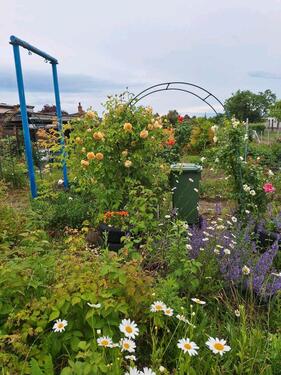Foto - Pacht- Schrebergarten - 50,00&nbsp;EUR Kaltmiete, ca.&nbsp; 0,00&nbsp;m&sup2;