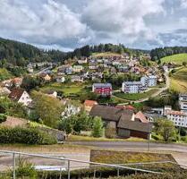 Renovierte 3-Zimmer Wohnung (80 m² ) in Gütenbach