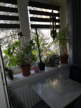 Foto - 2.5 Zimmer Etagenwohnung in Berlin