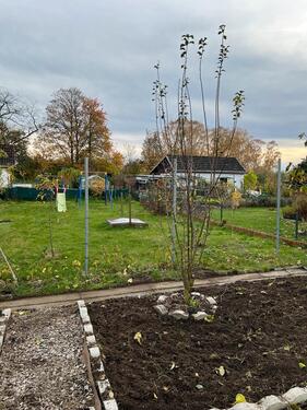 Foto - Grundstück in Braunschweig