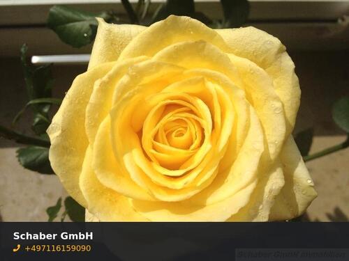 Foto - Schöne, helle 4-Raumwohnung in Jeßnitz