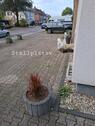 Foto - Mehrfamilienhaus, Wohnhaus in Lünen
