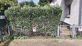 Foto - Mehrfamilienhaus, Wohnhaus in Lünen zum Kaufen