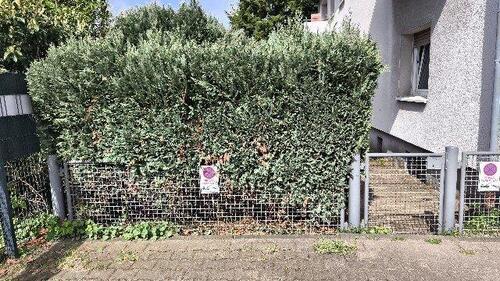 Foto - Mehrfamilienhaus, Wohnhaus in Lünen zum Kaufen