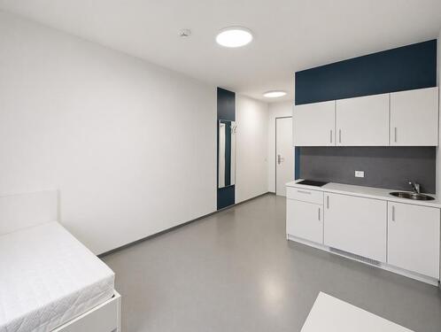 Foto - 1 Zimmer Terrassenwohnung zur Miete in Bad Vilbel